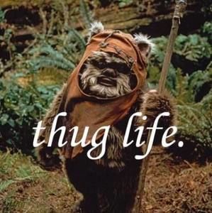 Meet your Posher, Joanna